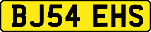 BJ54EHS