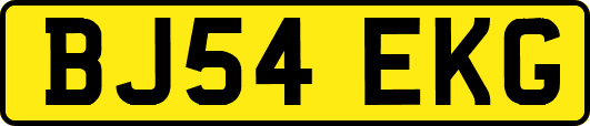 BJ54EKG