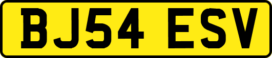 BJ54ESV