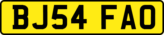 BJ54FAO