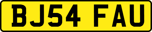 BJ54FAU