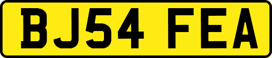 BJ54FEA