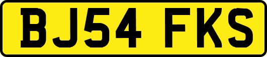 BJ54FKS