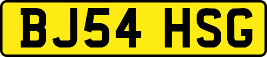 BJ54HSG