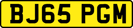 BJ65PGM