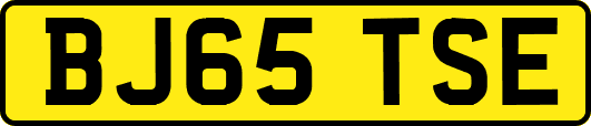 BJ65TSE