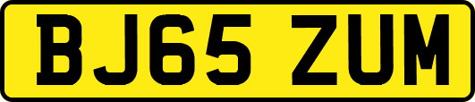 BJ65ZUM
