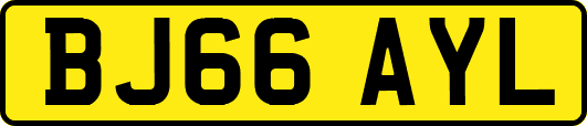 BJ66AYL