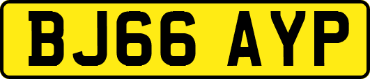 BJ66AYP