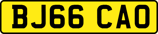BJ66CAO