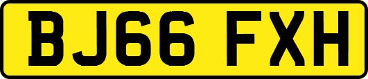BJ66FXH