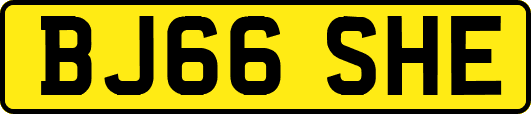 BJ66SHE