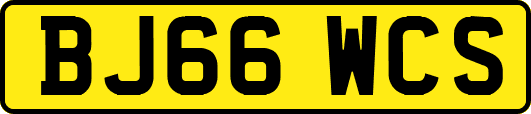 BJ66WCS