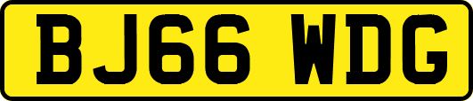 BJ66WDG
