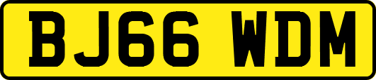 BJ66WDM