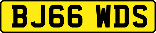 BJ66WDS