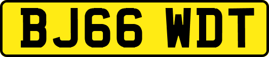 BJ66WDT