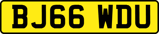 BJ66WDU