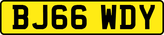 BJ66WDY