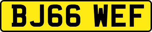 BJ66WEF