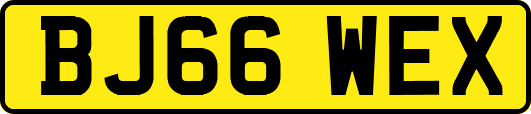 BJ66WEX