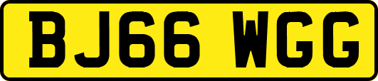 BJ66WGG