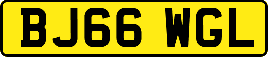 BJ66WGL