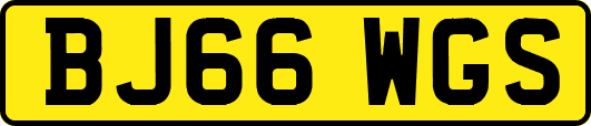BJ66WGS