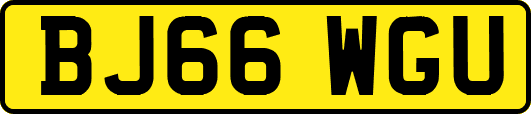 BJ66WGU