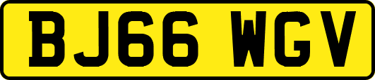 BJ66WGV
