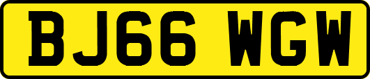 BJ66WGW