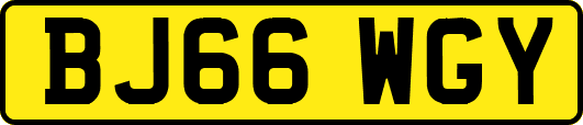 BJ66WGY