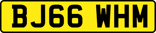 BJ66WHM