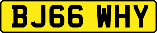 BJ66WHY