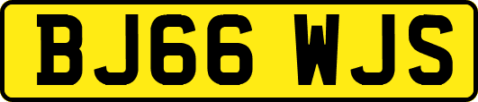 BJ66WJS