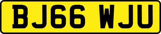 BJ66WJU