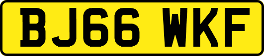 BJ66WKF