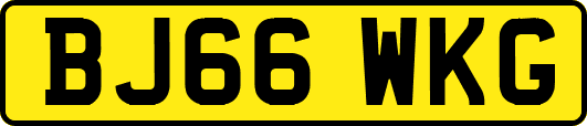 BJ66WKG