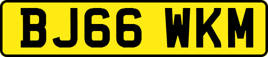 BJ66WKM