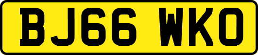 BJ66WKO