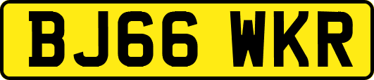 BJ66WKR