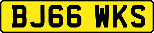 BJ66WKS