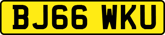 BJ66WKU