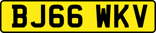 BJ66WKV