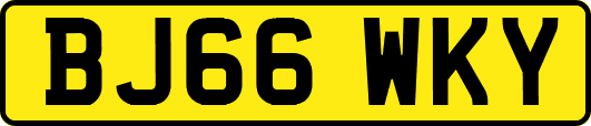 BJ66WKY