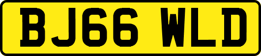 BJ66WLD