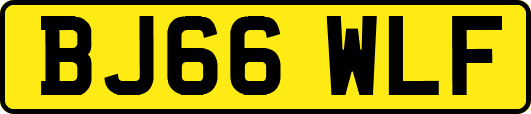 BJ66WLF
