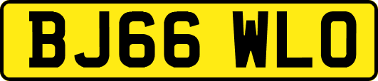 BJ66WLO