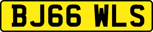 BJ66WLS