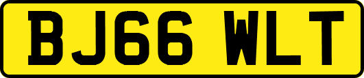 BJ66WLT